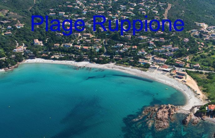 Vue Mer Panoramique Plage 50M Porticcio Corse Kültér fotó